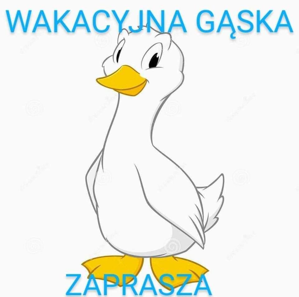 Ferienhaus Letniskowe Wakacyjna Gaska Masztowa 38 *